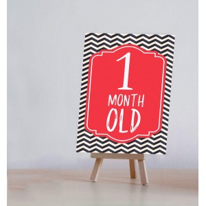 Baby Milestone Cards with Easel Stand