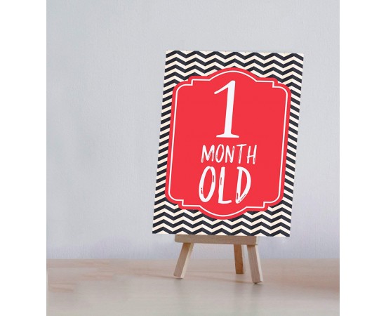 Baby Milestone Cards with Easel Stand