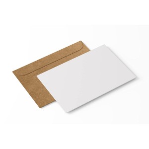 Blank Notecards and Envelopes 